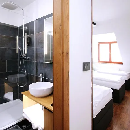 U Zajicku Guest house 3*