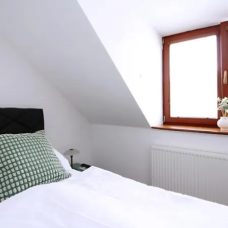 U Zajicku Guest house