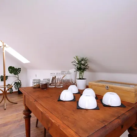U Zajicku Guest house